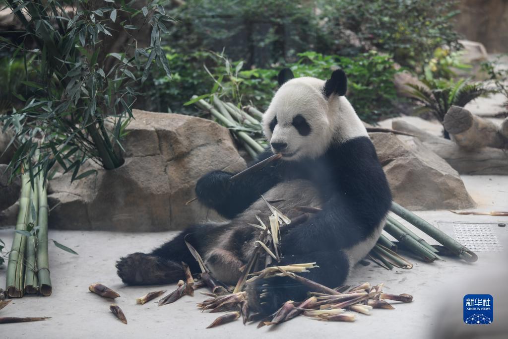 博一吧交流论坛网址